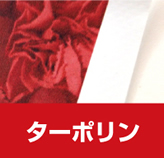 �^�[�|����