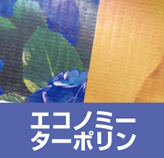 �G�R�m�~�[�^�[�|����