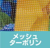 ���b�V���^�[�|����