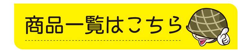 �E�C���X�΍�